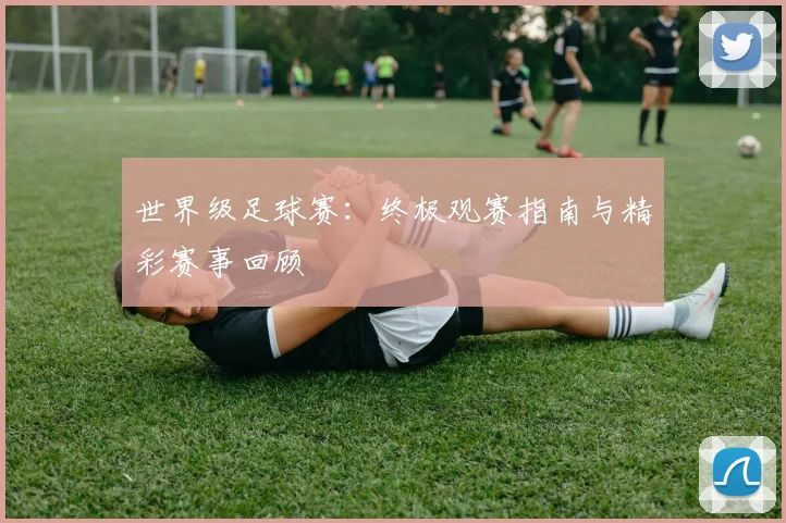 世界级足球赛:终极观赛指南与精彩赛事回顾
